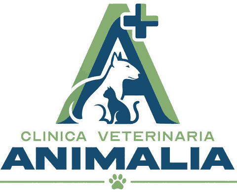 Clínica Veterinaria Animalia